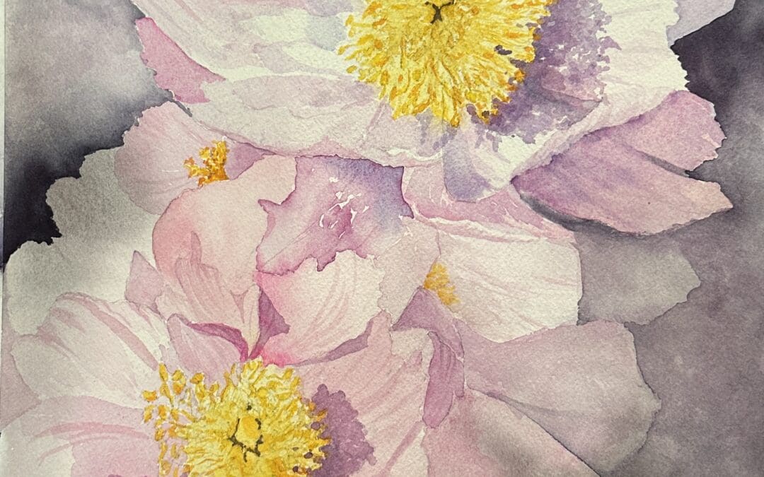 Peony Queens
