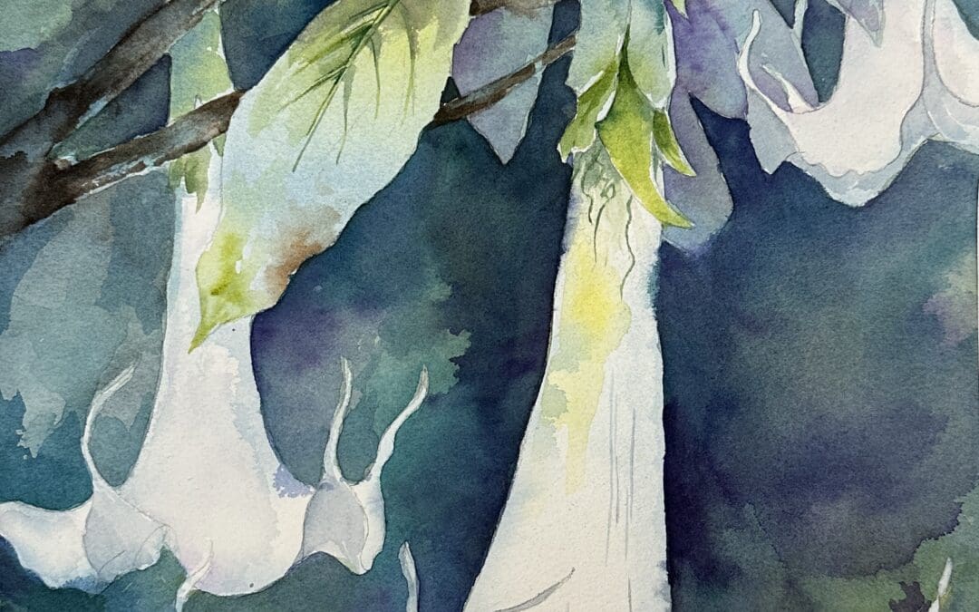 Garden Whites
