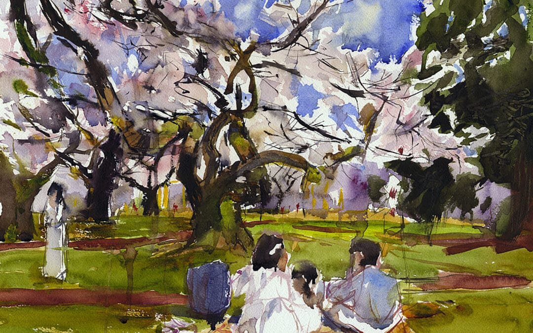 Sakura Blossoms in UW Quad