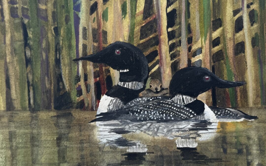Morning Loons