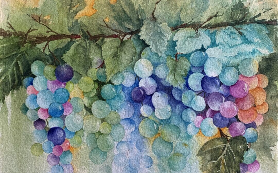 Harvest Color