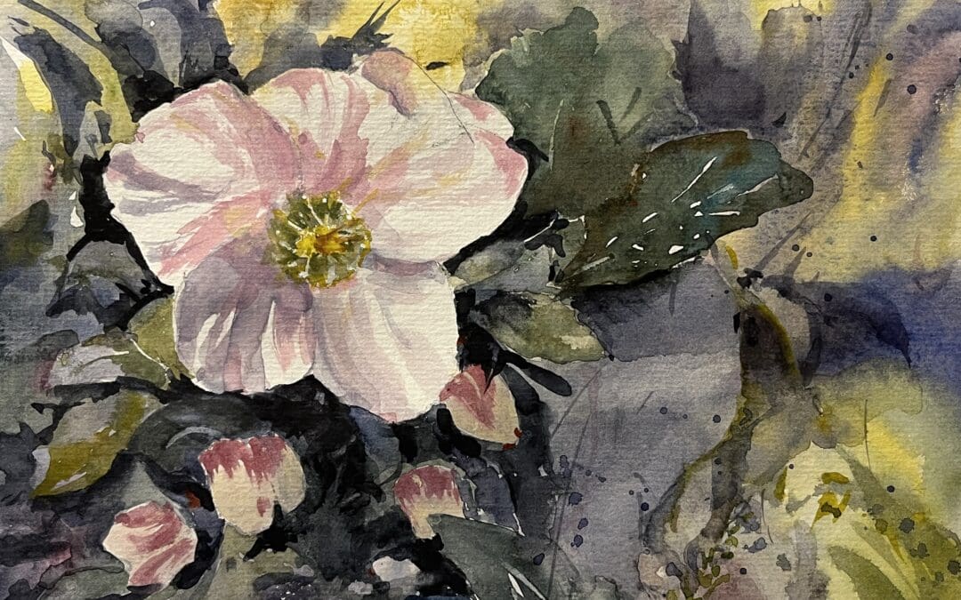 Lenten Rose