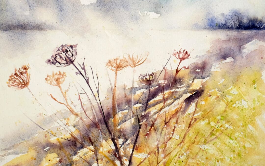 Skagit Wetlands-Winter Weeds