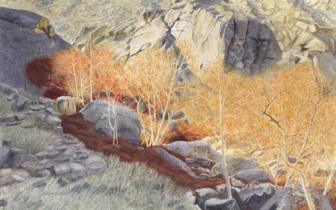 Textures of a Crumbling Canyon