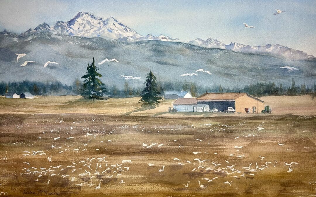 Winter Fields