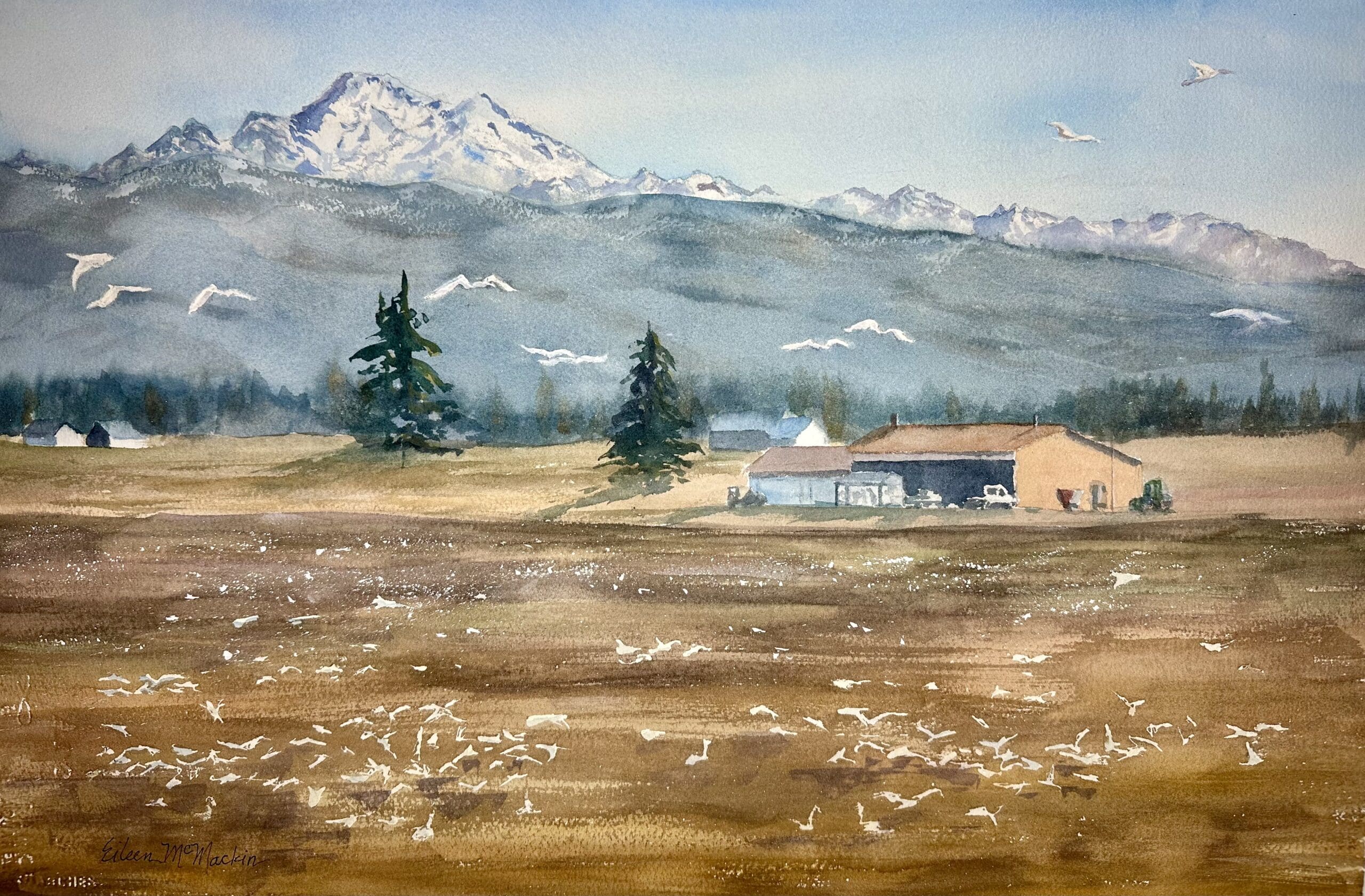 Winter-Fields