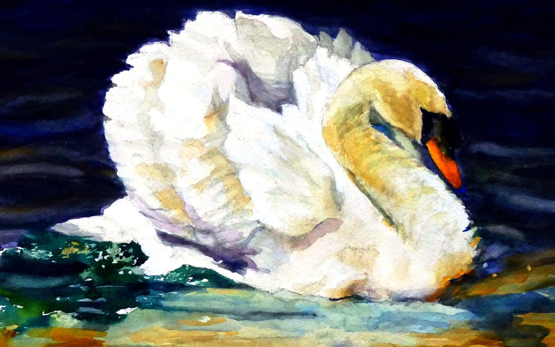 The Swan