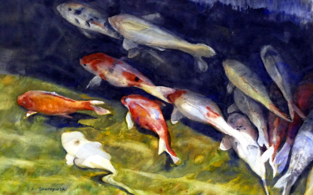 School of Fish