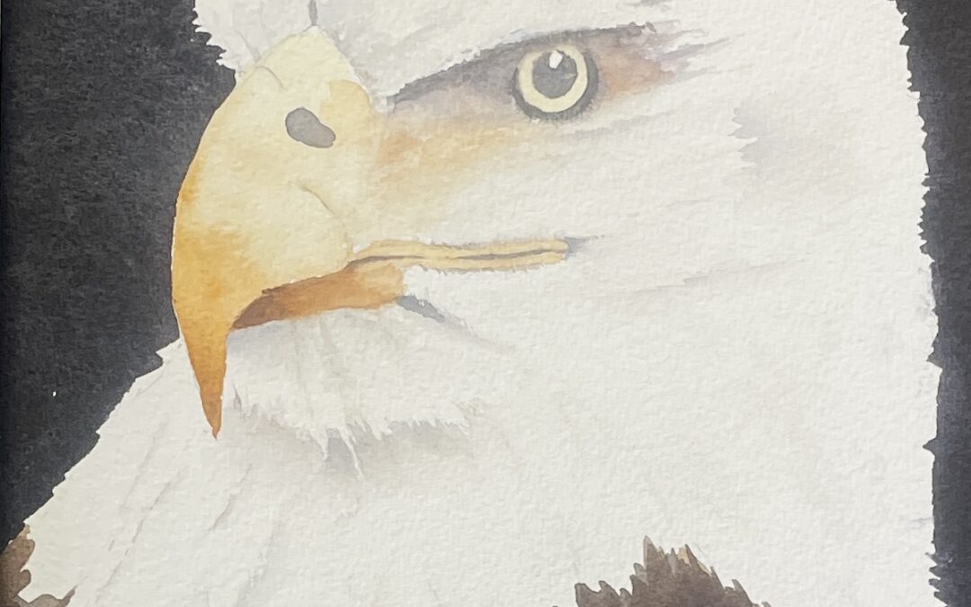 The Eagle has Landed