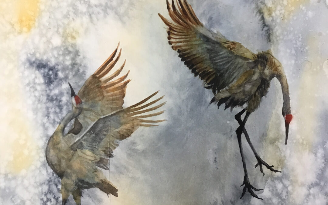 The dance of cranes