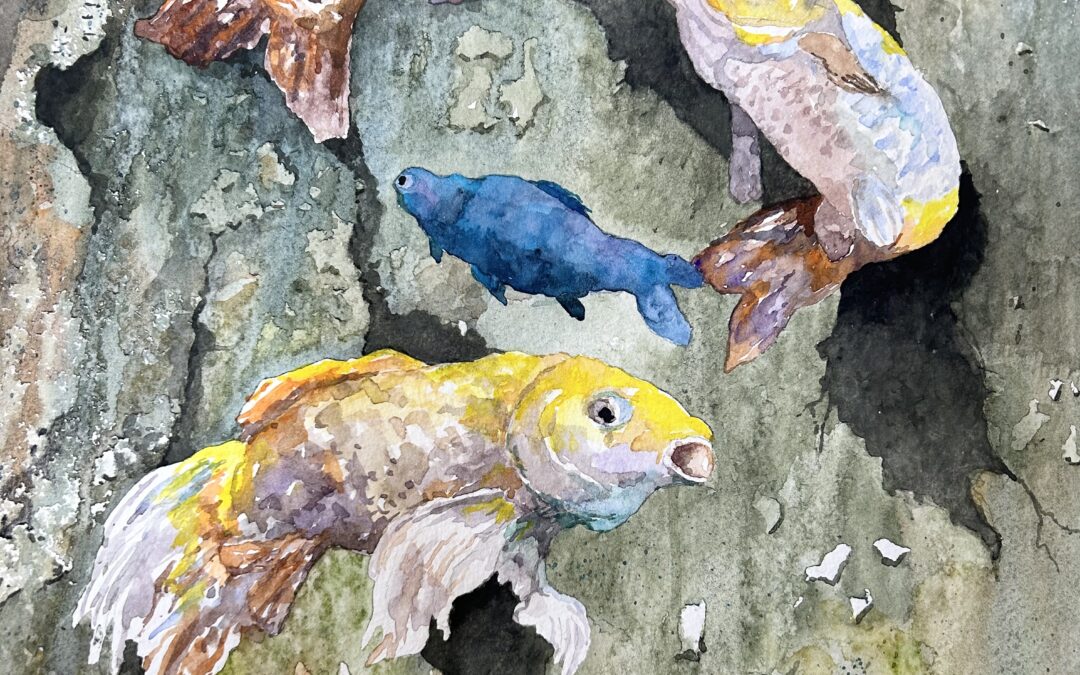 Emerald Isle Aquarium