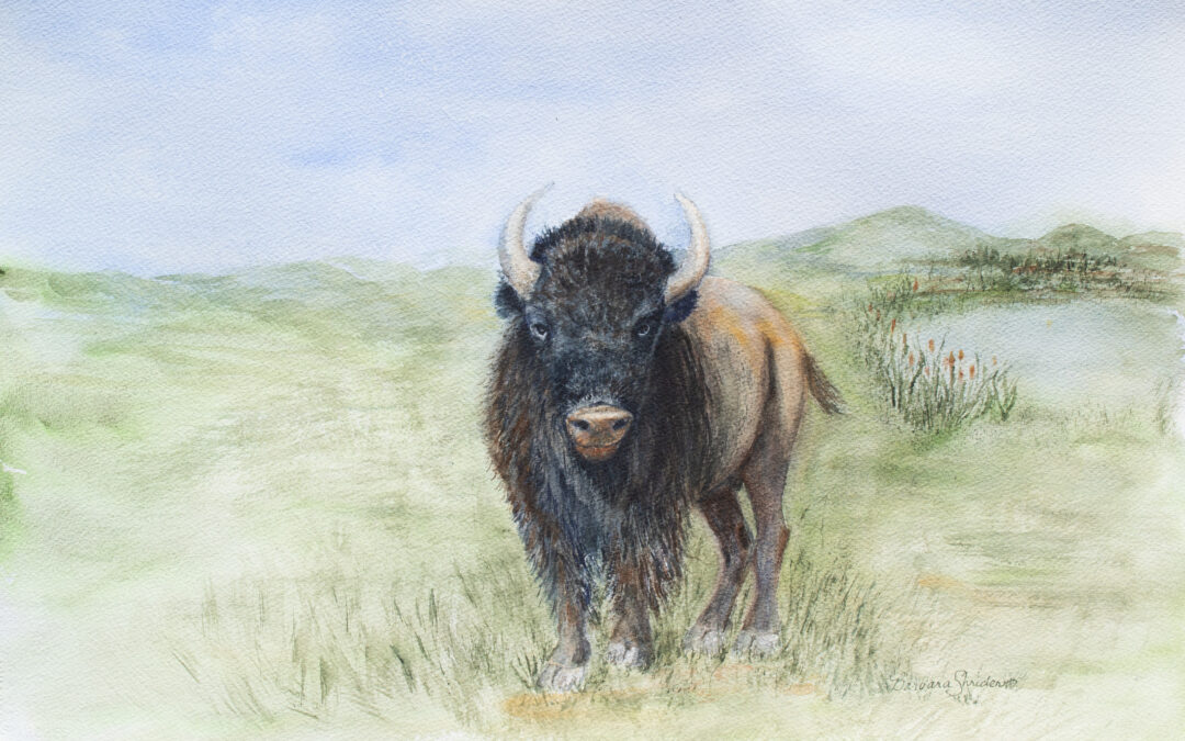 Home On the Range