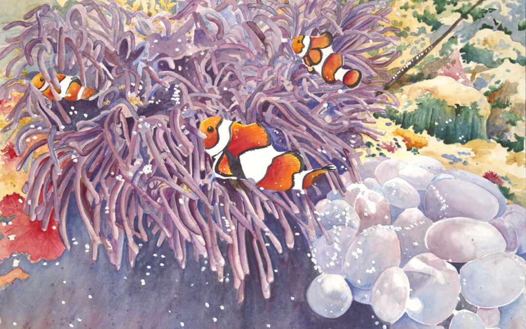 Clownfish in Anemone