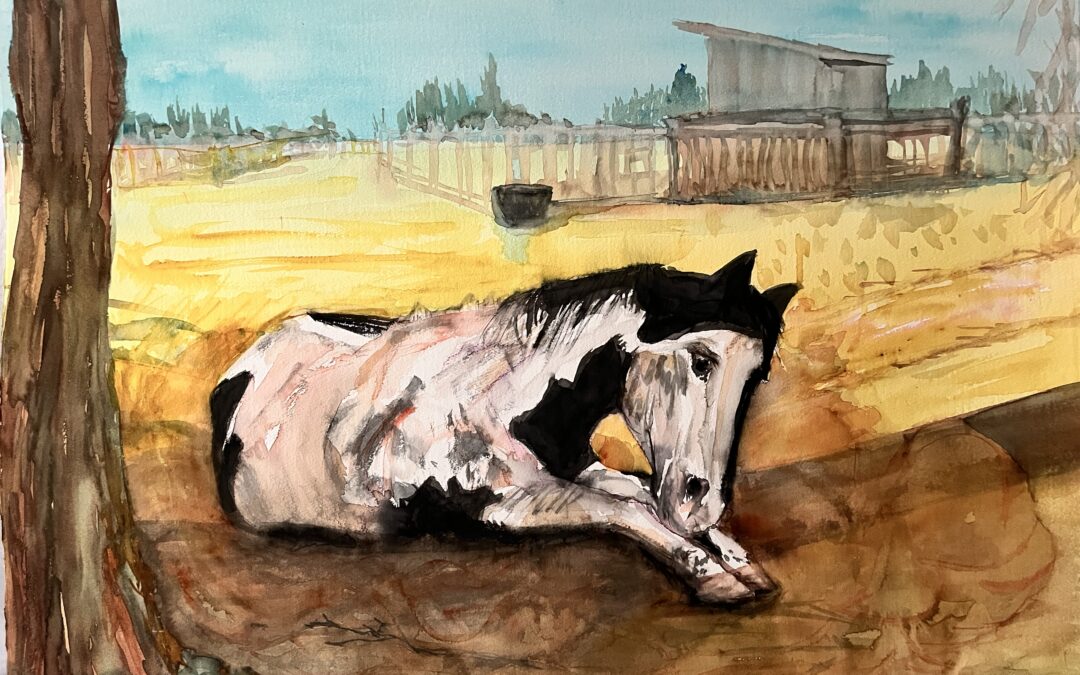 Ziggy – Dirt Bath