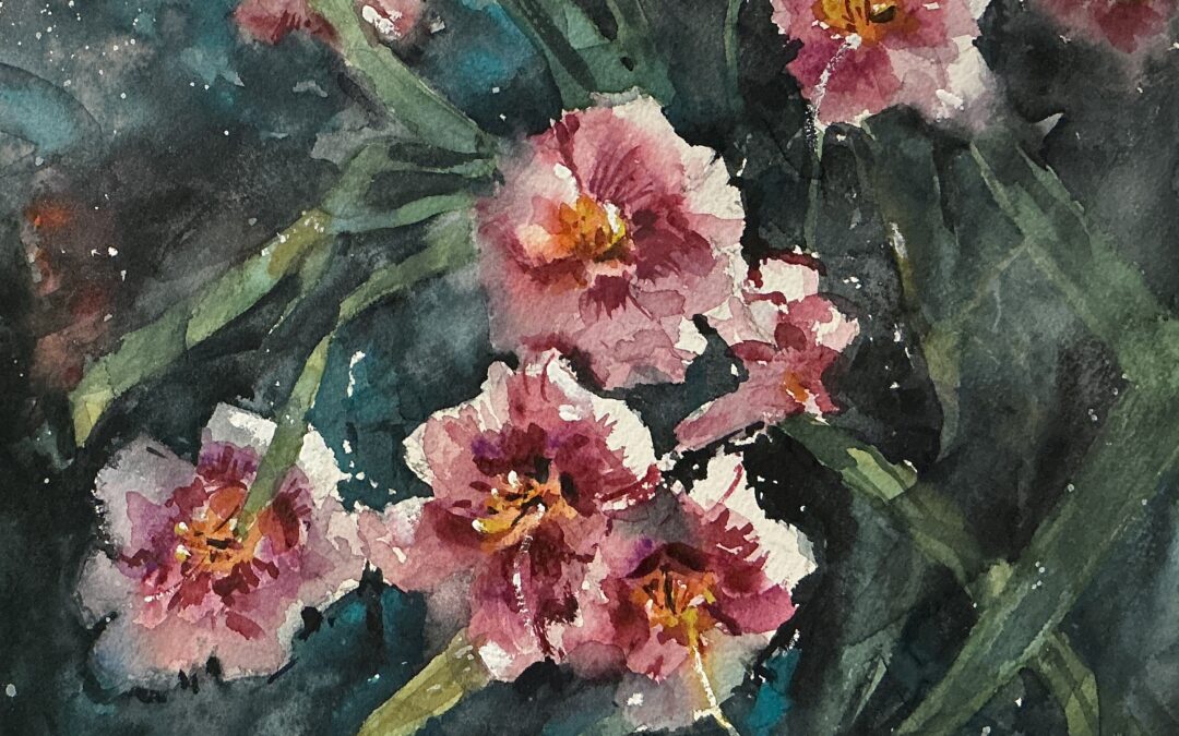 Daylilies