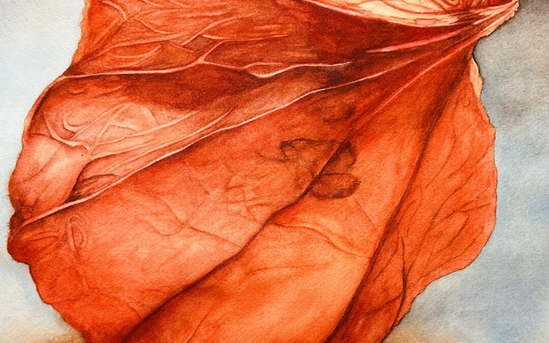 Chinese Lantern