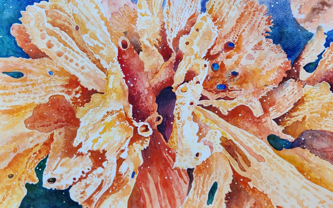 Nature’s Undersea Palette