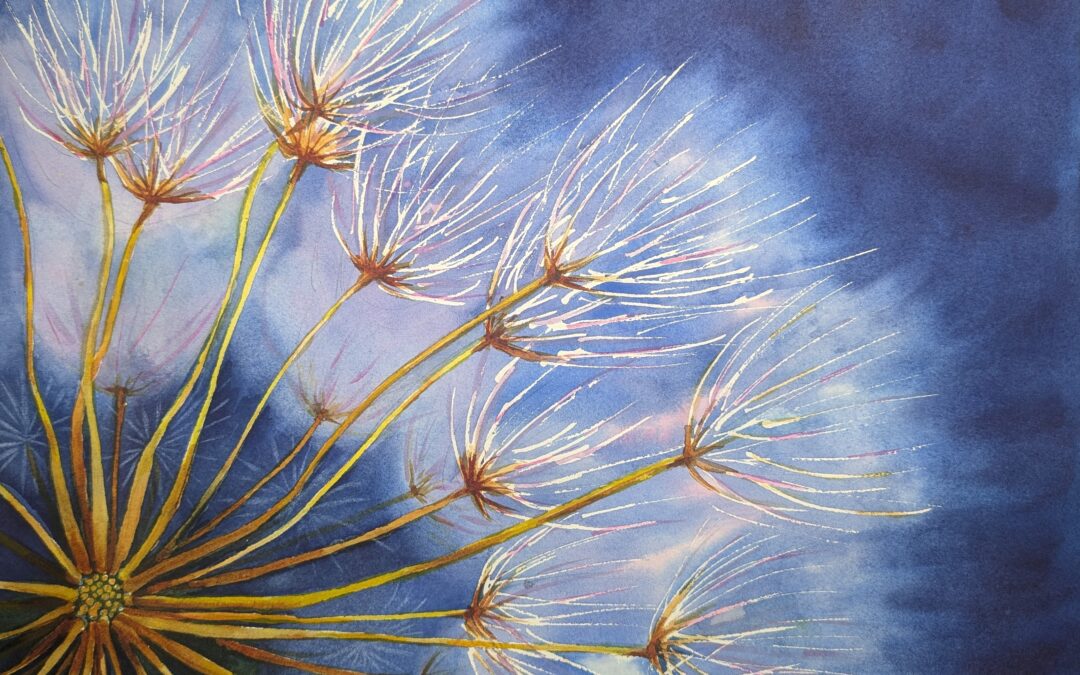Dandelion Up Close