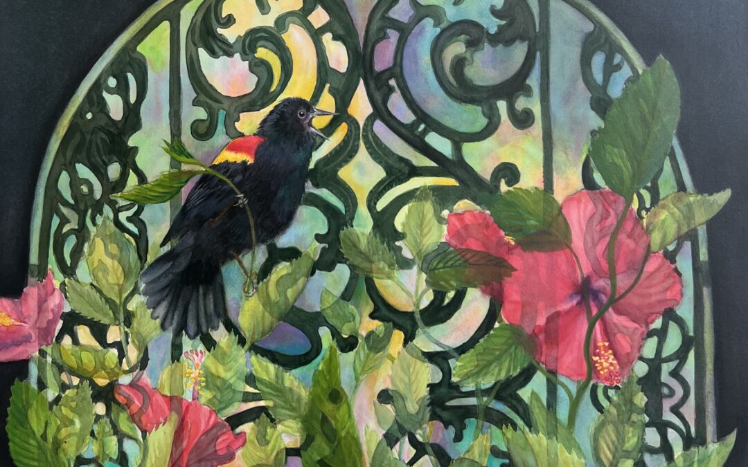 Red Winged Blackbird
