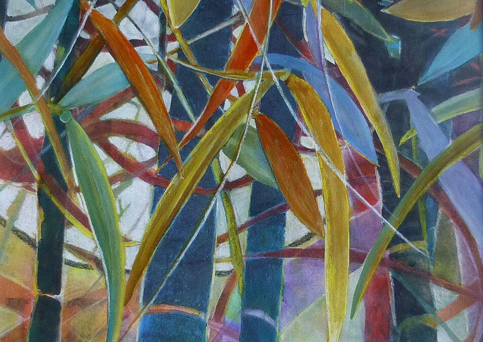 Shadows in the Bamboo