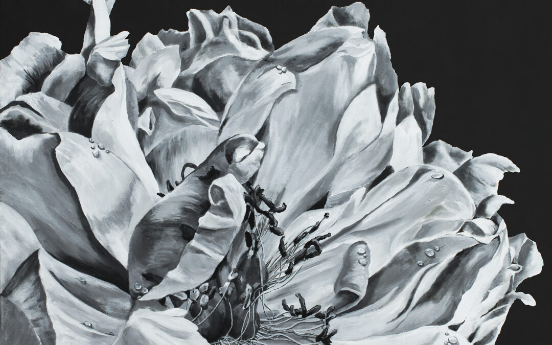 Tangled Grace