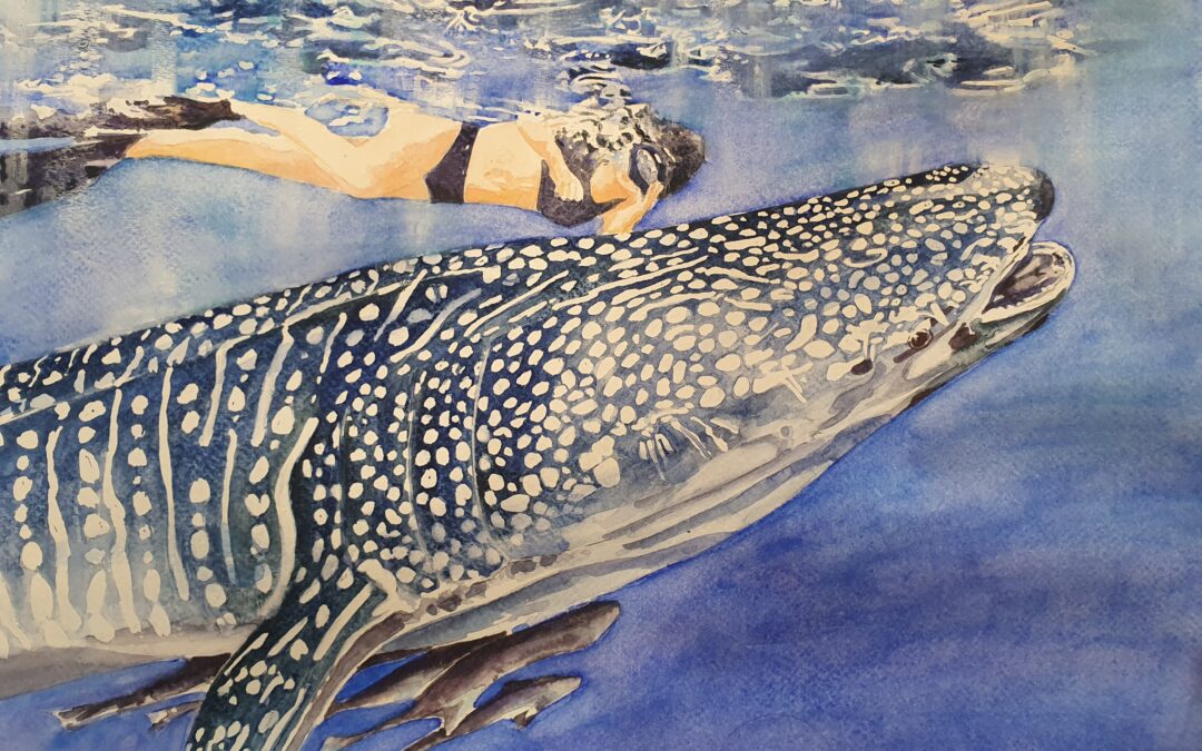 Whale Shark Swim Buddy