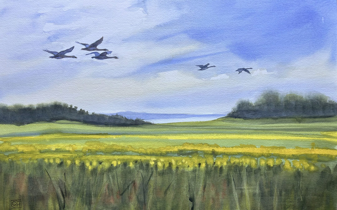 Yellow Field