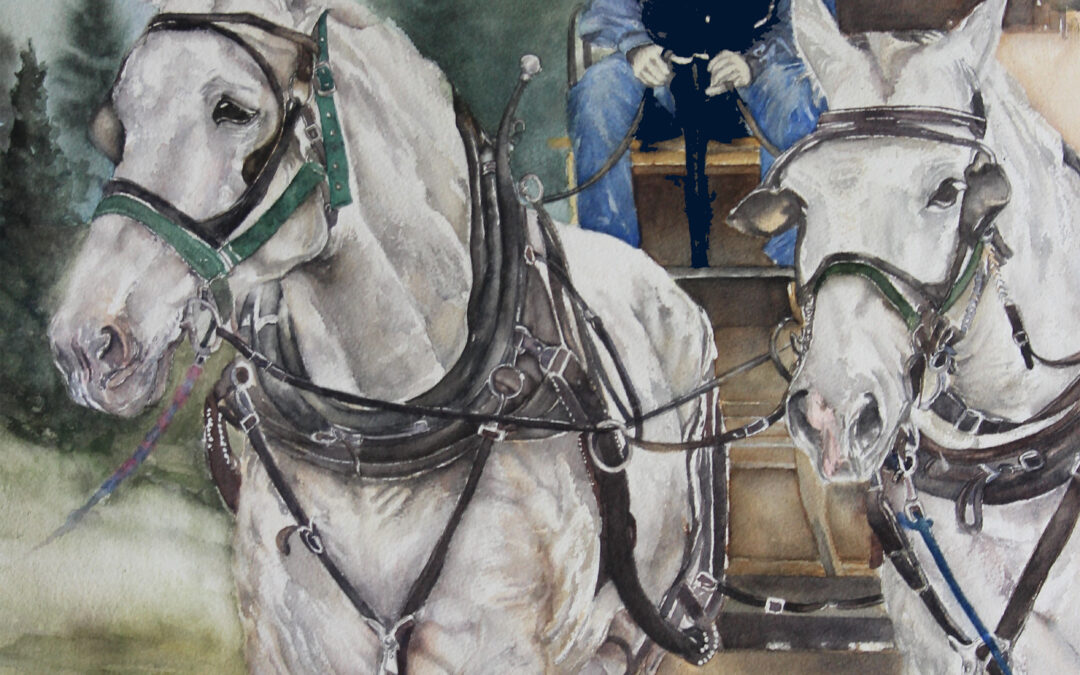 Yellowstone Carriage