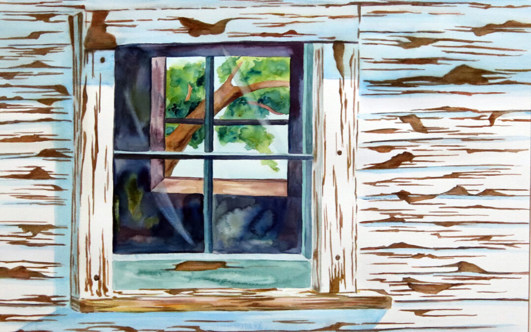 looking in looking out